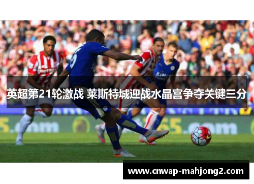 英超第21轮激战 莱斯特城迎战水晶宫争夺关键三分 英超第21轮激战 莱斯特城迎战水晶宫争夺关键三分