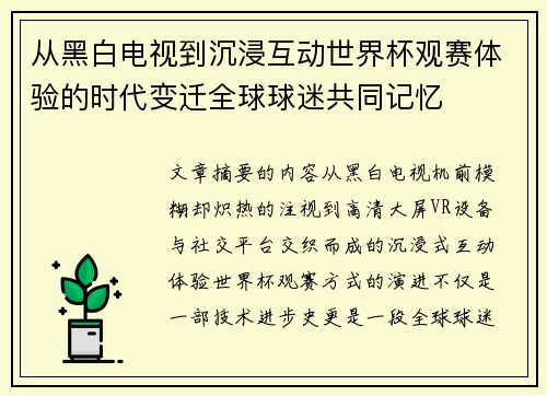 从黑白电视到沉浸互动世界杯观赛体验的时代变迁全球球迷共同记忆